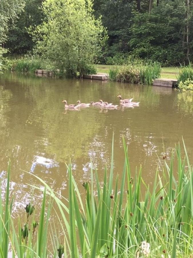 Riccall Hollicarrs Holiday Park - Hares Leap מראה חיצוני תמונה